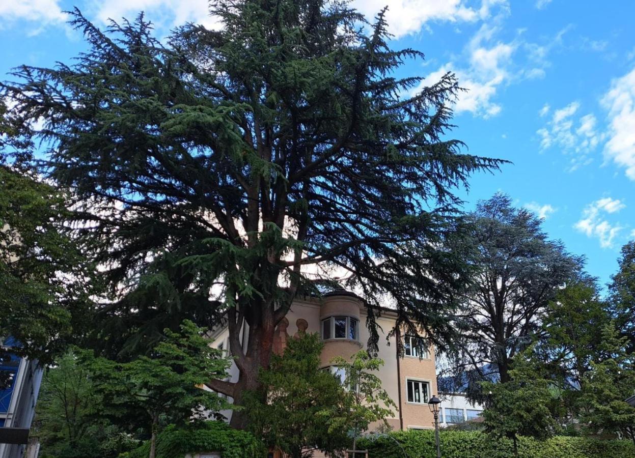 MansardeZedermit Parkplatz in Privatvilla im Herzen Merans Exterior foto